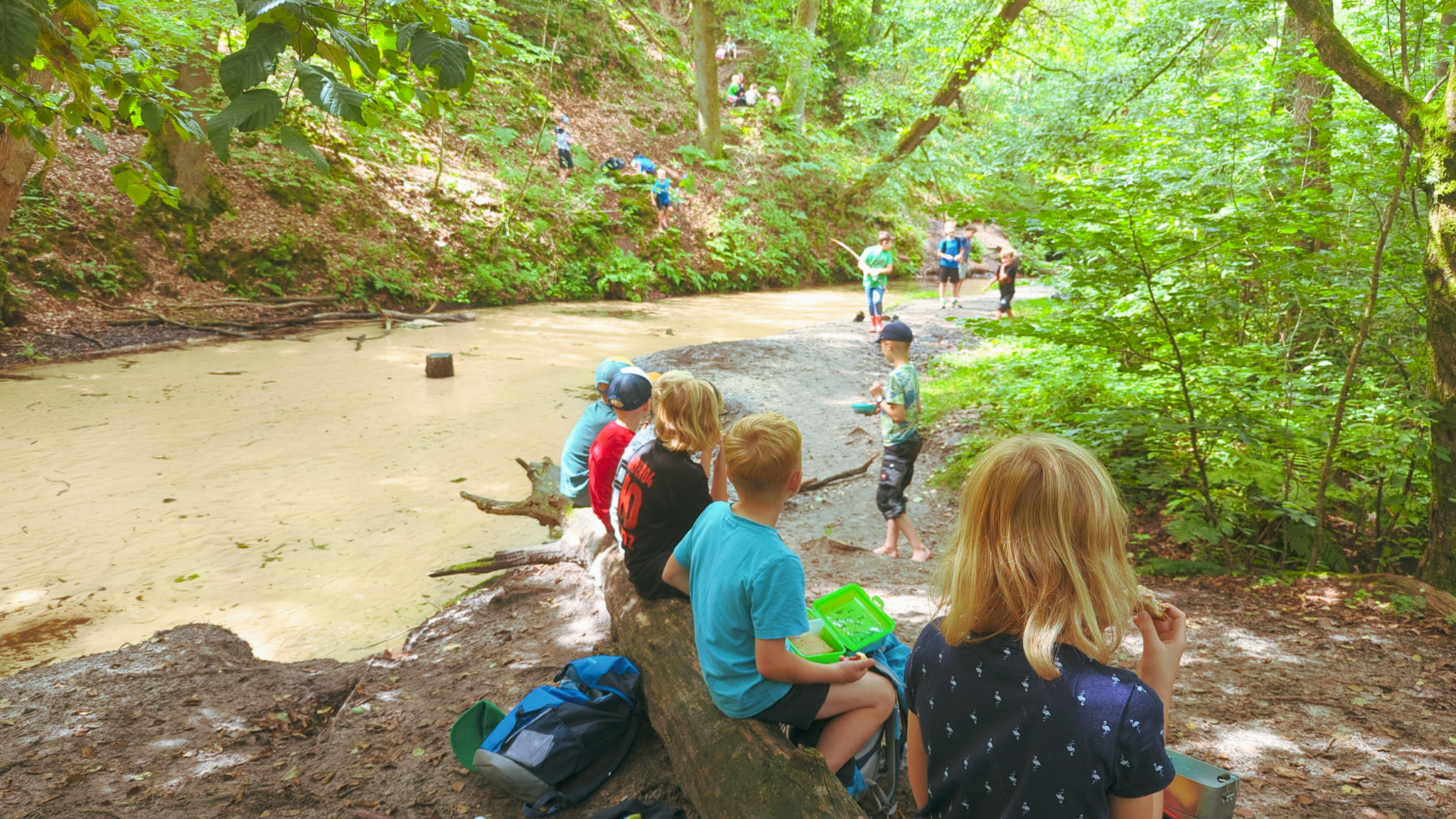 Kinder auf einer Ferienfreizeit im Wald.