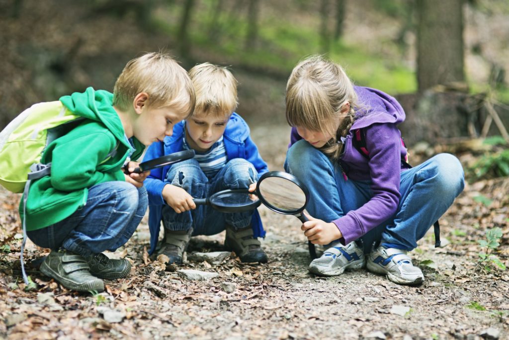 Kinder mit Lupen untersuchen den Waldboden
