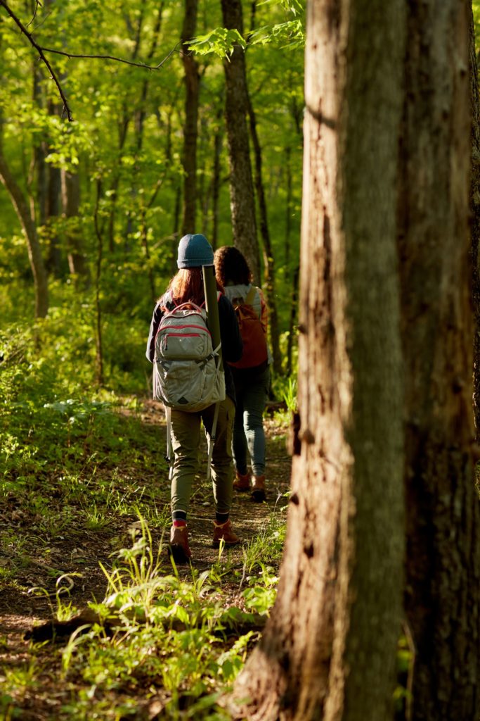 zwei Frauen gehen im Laubwald spazieren bei schoener stimmung